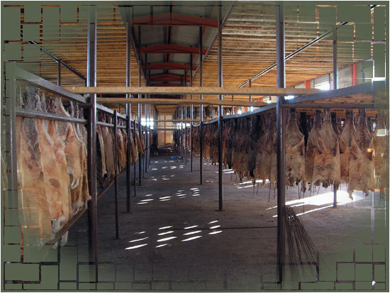 image of our drying warehouses